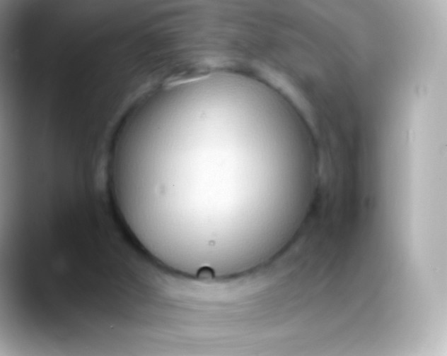 X0000088490010200706051426