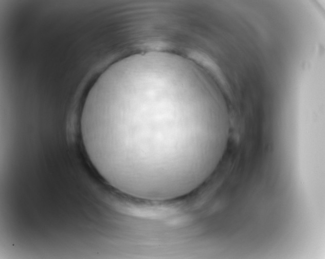 X0000088490012200706051426