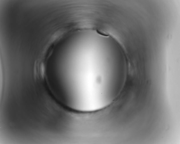 X0000088490013200706051426