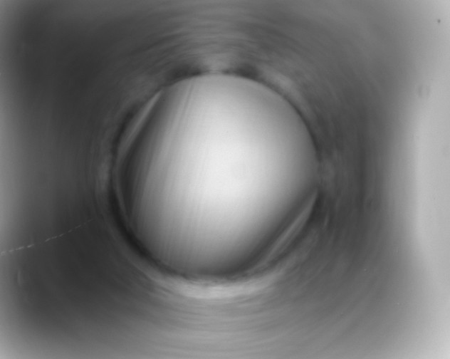 X0000088490018200706051426