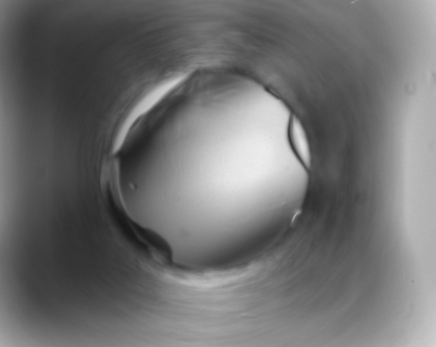 X0000088490019200706051426