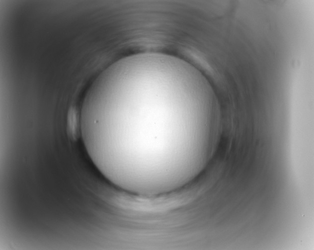 X0000088490022200706051426