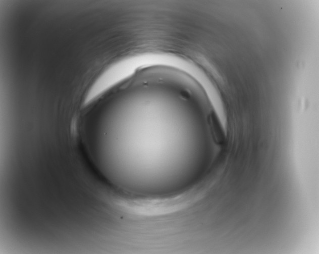 X0000088490023200706051426