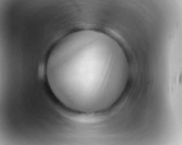 X0000088490024200706051426