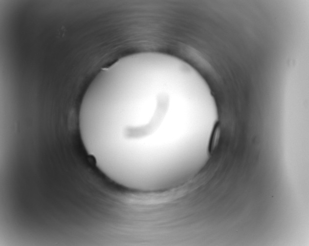 X0000088490025200706051426