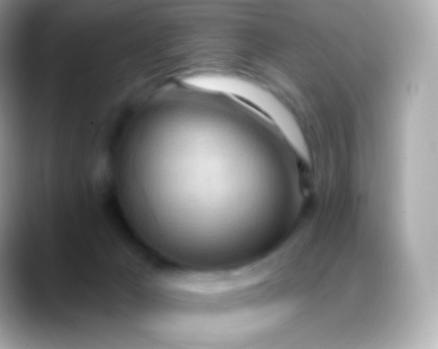 X0000088490029200706051426