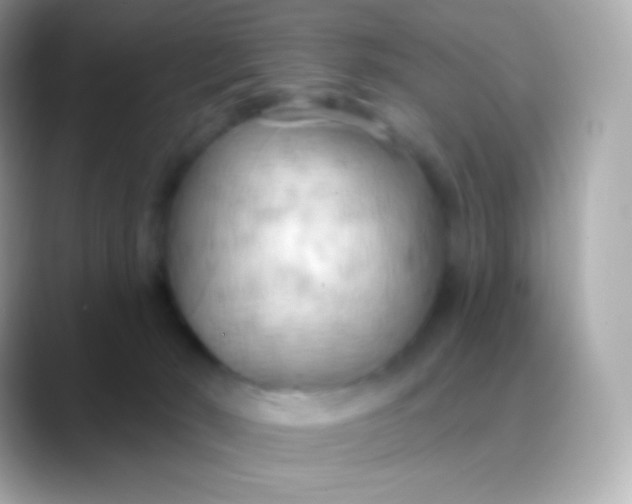 X0000088490030200706051426