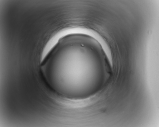 X0000088490031200706051426