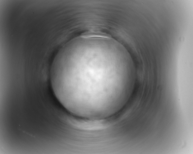 X0000088490032200706051426