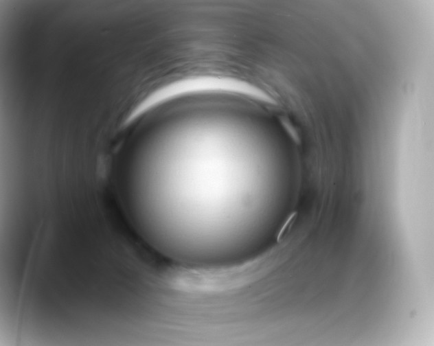 X0000088490033200706051426