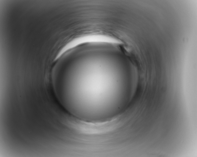 X0000088490035200706051426