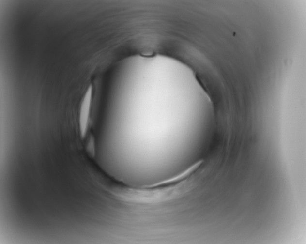 X0000088490037200706051426