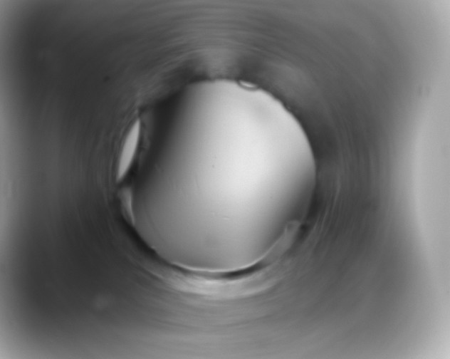 X0000088490039200706051426