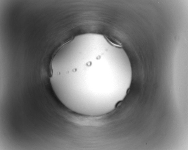 X0000088490040200706051426