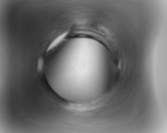 X0000088490041200706051426