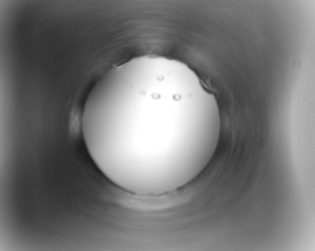 X0000088490042200706051426