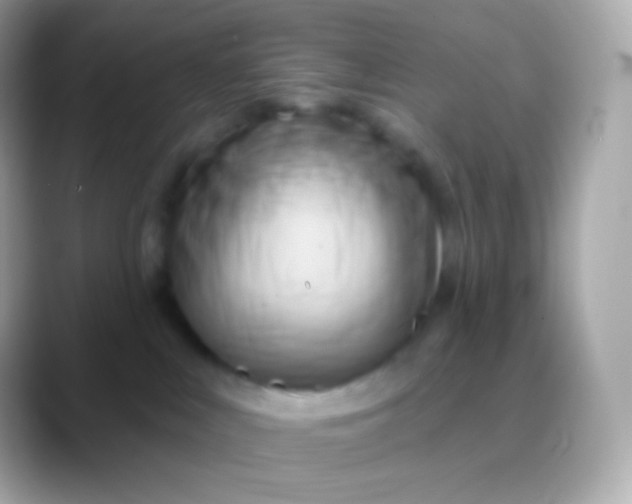 X0000088490043200706051426