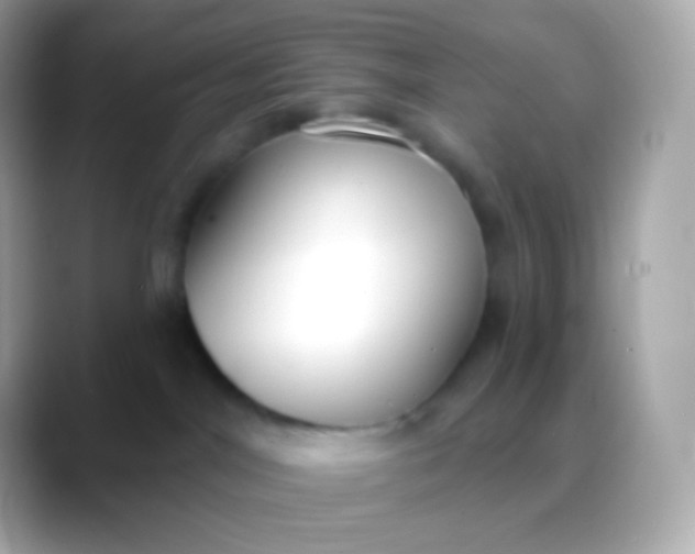 X0000088490044200706051426