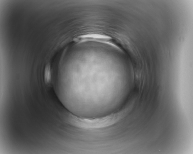 X0000088490046200706051426