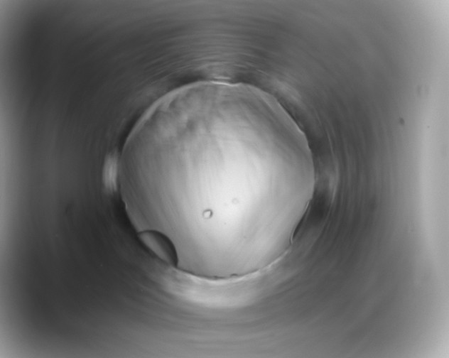 X0000088490047200706051426