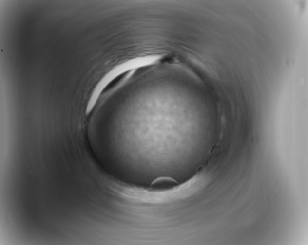 X0000088490048200706051426