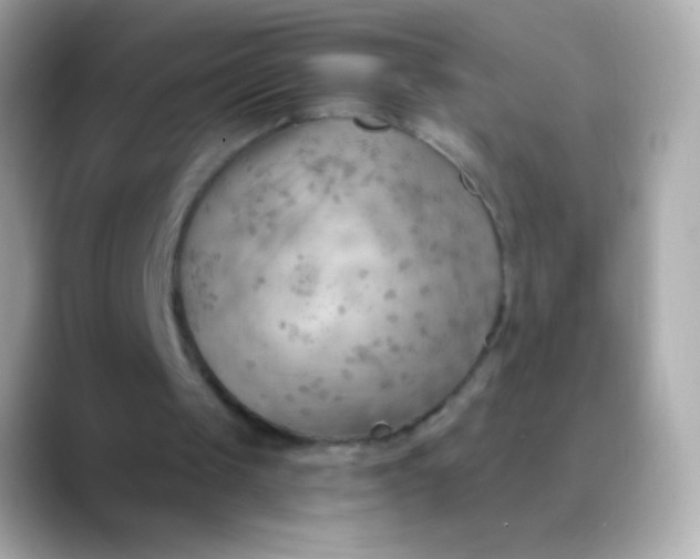 X0000088490049200706051425