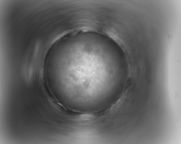 X0000088490050200706051425