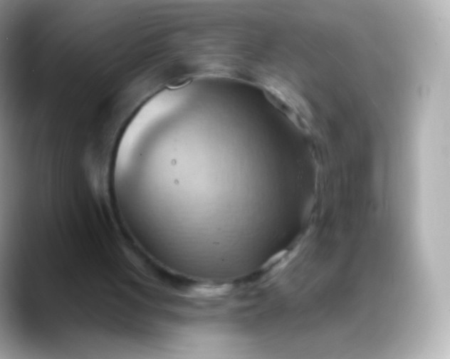 X0000088490051200706051425