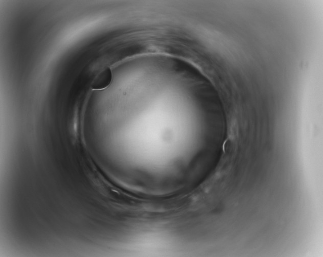 X0000088490052200706051425