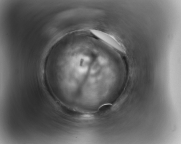 X0000088490053200706051425