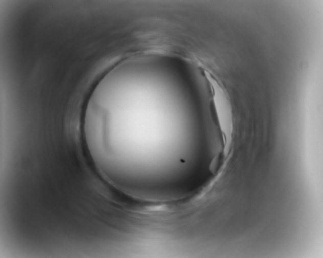 X0000088490054200706051425