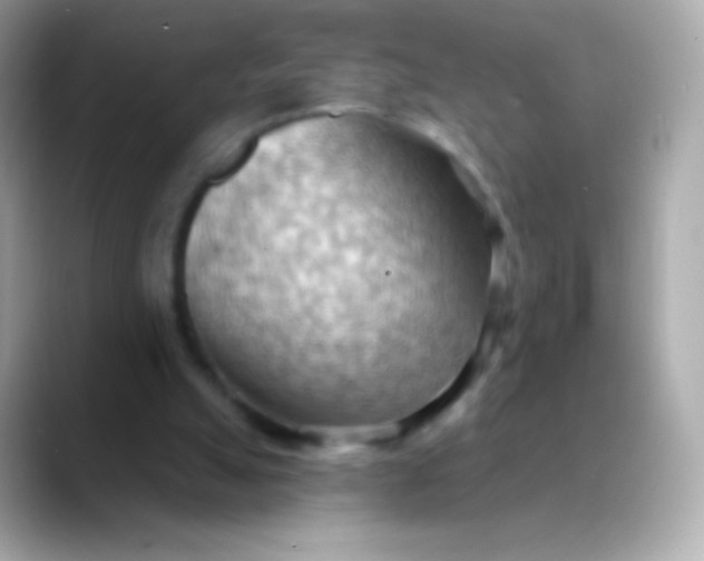 X0000088490055200706051425