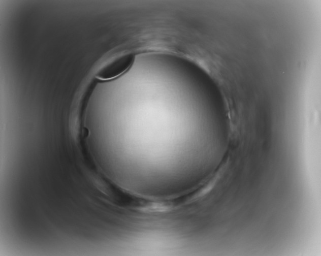 X0000088490056200706051425