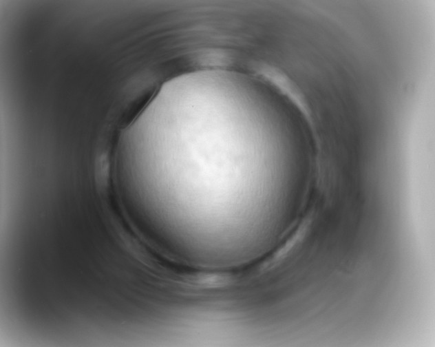 X0000088490057200706051425