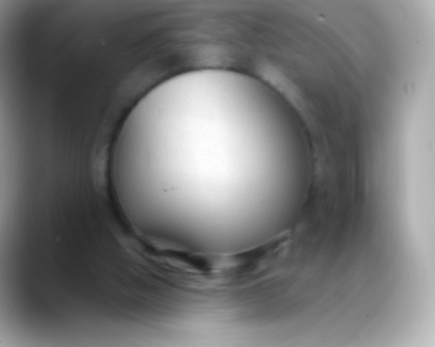 X0000088490058200706051425