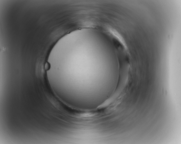 X0000088490059200706051425