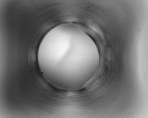 X0000088490060200706051425