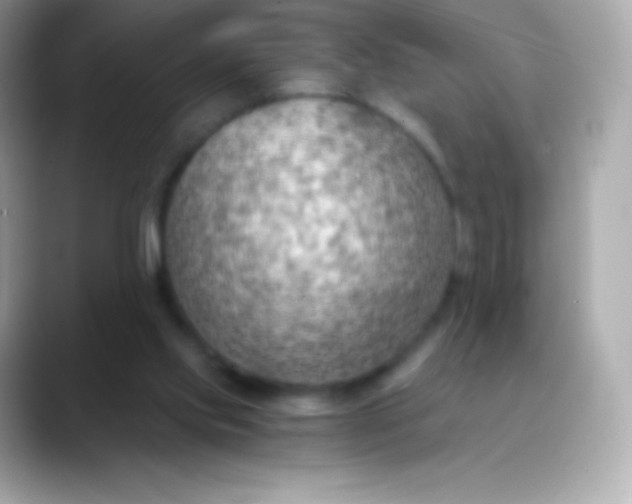 X0000088490061200706051425