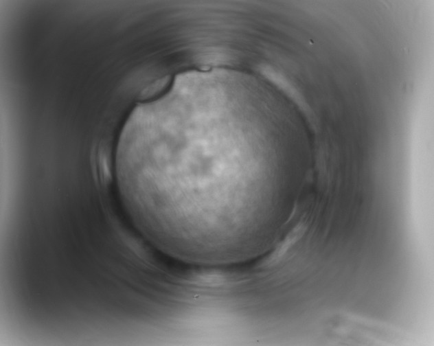 X0000088490062200706051425