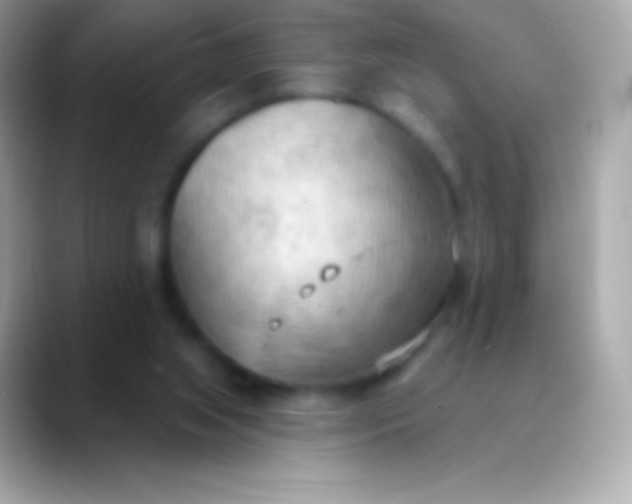 X0000088490063200706051426