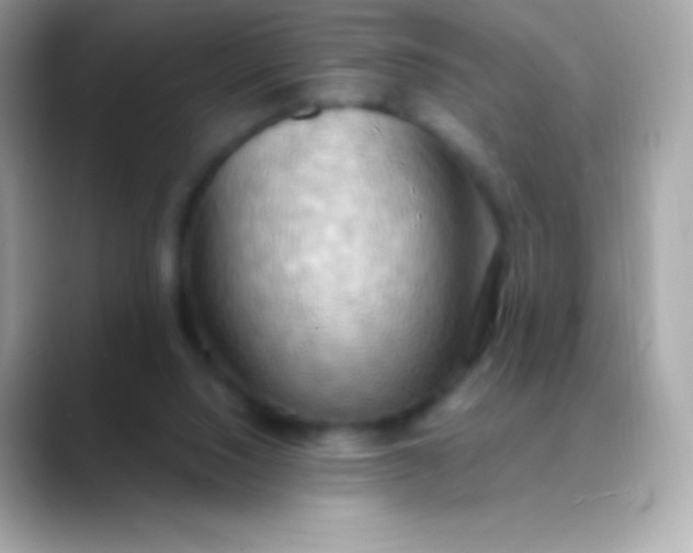 X0000088490064200706051426