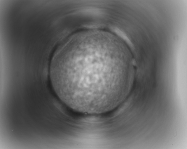 X0000088490065200706051426