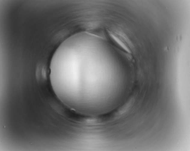 X0000088490068200706051426