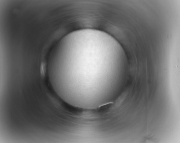 X0000088490070200706051426