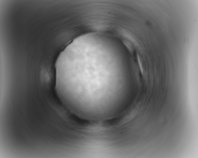 X0000088490072200706051426