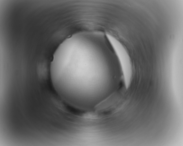 X0000088490080200706051426