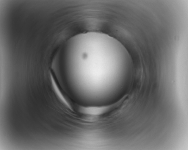 X0000088490084200706051426