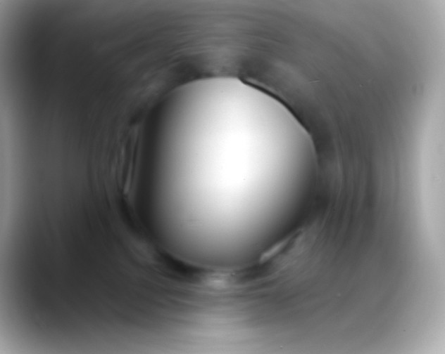 X0000088490088200706051426