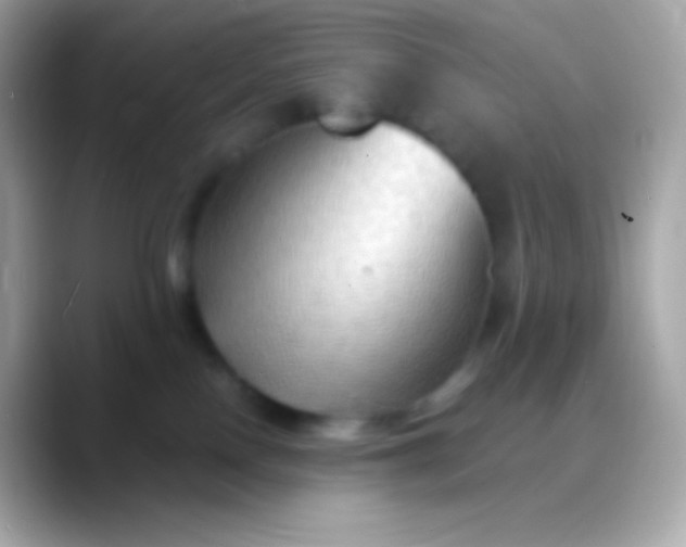 X0000088490090200706051426