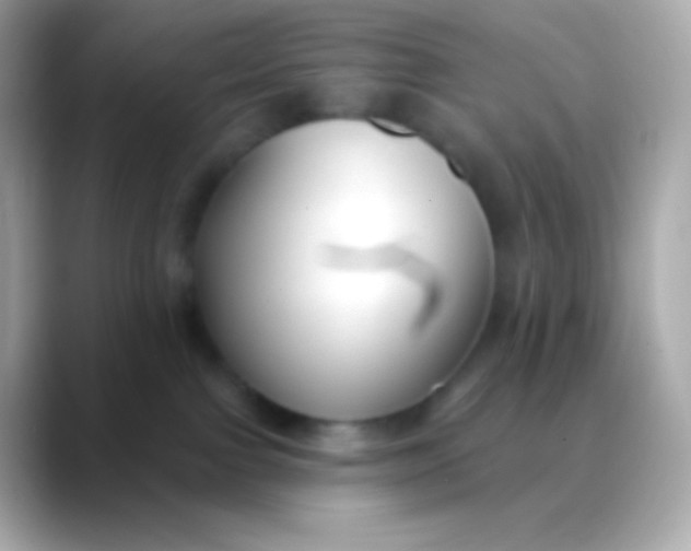 X0000088490091200706051426